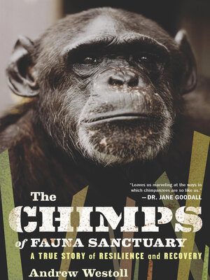 cover image of The Chimps of Fauna Sanctuary